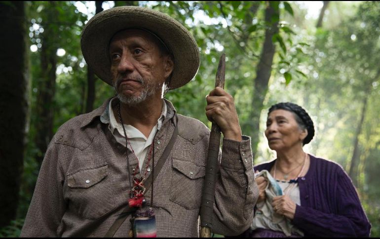 Poncelis, nacido en 1954, estuvo nominado al premio Ariel por su labor en la controvertida 