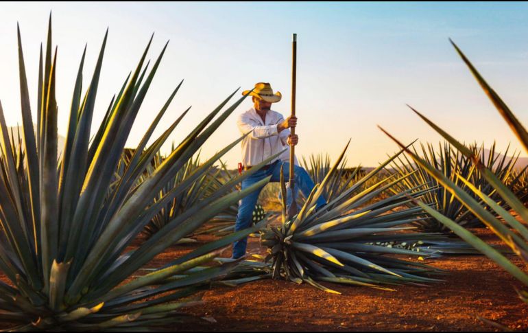 Jalisco cuenta actualmente con 12 Pueblos Mágicos. ESPECIAL.