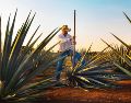 Jalisco cuenta actualmente con 12 Pueblos Mágicos. ESPECIAL.