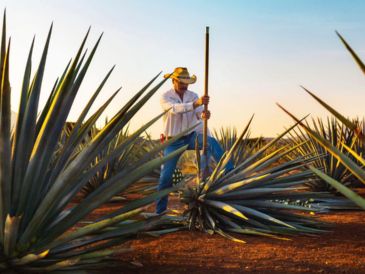 Jalisco cuenta actualmente con 12 Pueblos Mágicos. ESPECIAL.