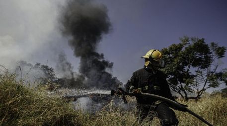 Protección Civil y Bomberos del municipio se ocuparon del incidente. EL INFORMADOR/Archivo