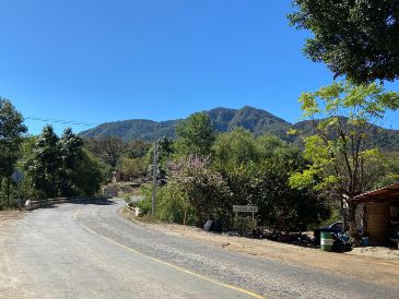 Desde playa, a bosque, de la Laguna de Chapala a la Zona Metropolitana, hay una diversidad de lugares con climas específicos y actividades para cada persona. EL INFORMADOR / O. F. López