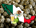 Para los mexicanos, el tequila no sólo es una bebida de celebración, sino además representa las raíces y la identidad de la nación; por eso, su elaboración demanda cuidado y reglas. EL INFORMADOR / ARCHIVO