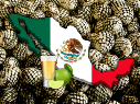 Para los mexicanos, el tequila no sólo es una bebida de celebración, sino además representa las raíces y la identidad de la nación; por eso, su elaboración demanda cuidado y reglas. EL INFORMADOR / ARCHIVO