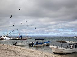 La Administración Nacional Oceánica y Atmosférica de Estados Unidos sancionó a México por pesca ilegal y prácticas dañinas para especies protegidas. EFE / ARCHIVO