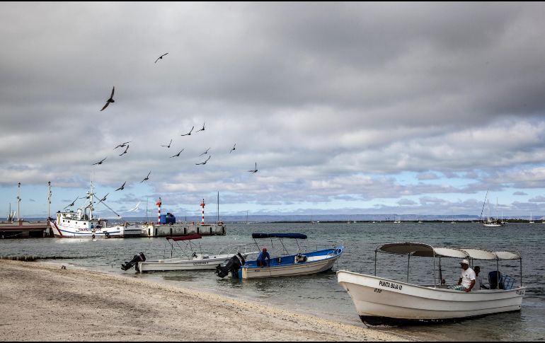 La Administración Nacional Oceánica y Atmosférica de Estados Unidos sancionó a México por pesca ilegal y prácticas dañinas para especies protegidas. EFE / ARCHIVO