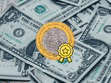 El dólar ha caído un 4.8%. Unsplash / Canva