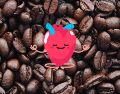 Además del consumo de café, la salud cardiovascular depende de múltiples factores, incluyendo una dieta equilibrada, ejercicio regular, manejo del estrés y la genética. CANVA