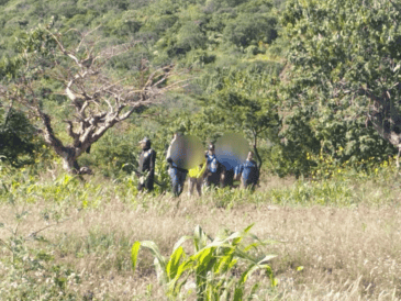 Con la ayuda de un dron equipado con una cámara térmica, elementos de Protección Civil y Bomberos de Tlajomulco localizaron a la familia. Protección Civil y Bomberos de Tlajomulco.