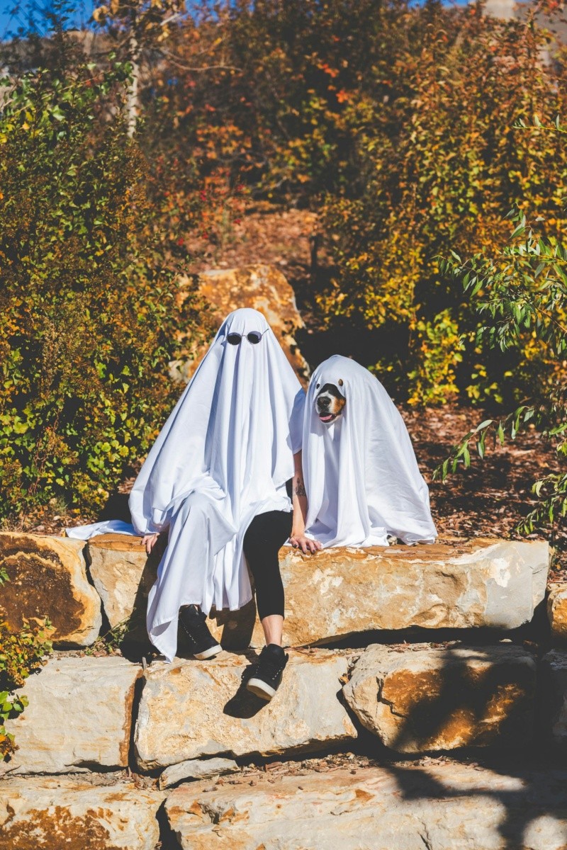  Disfraz de fantasma. ESPECIAL / UNSPLASH Megan Dujardin