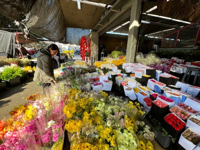 Para este 14 de febrero, artesanos ofrecen flores eternas en Gdl - Grupo  Milenio