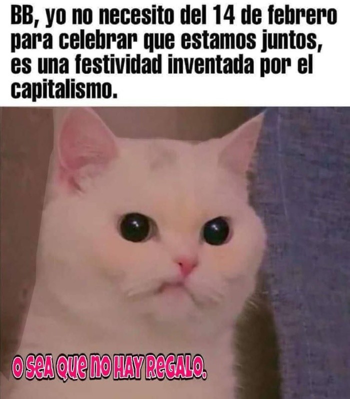 Estos son los mejores MEMES por el 14 de febrero, Día de San Valentín