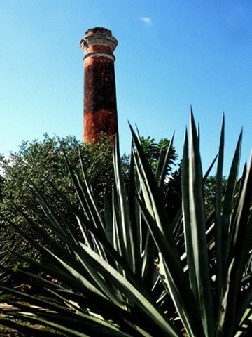 ESPECIAL/ GOBIERNO DE YUCATÁN 